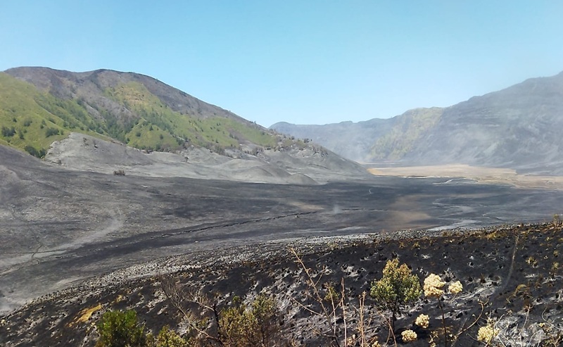 Wisata Gunung Bromo Kembali Dibuka Usai Kebakaran